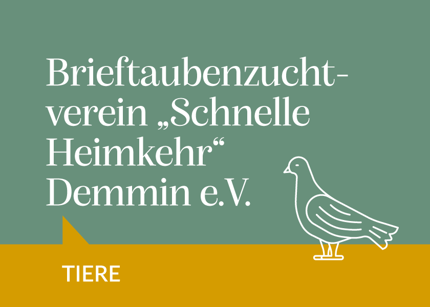 Brieftaubenzuchtverein “Schnelle Heimkehr” Demmin e.V.