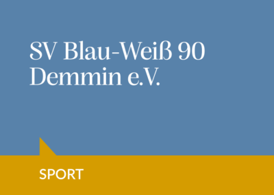 SV Blau-Weiß 90 Demmin e.V.